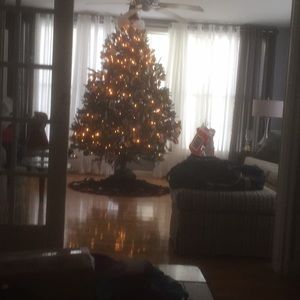 Meet your Posher, Paul